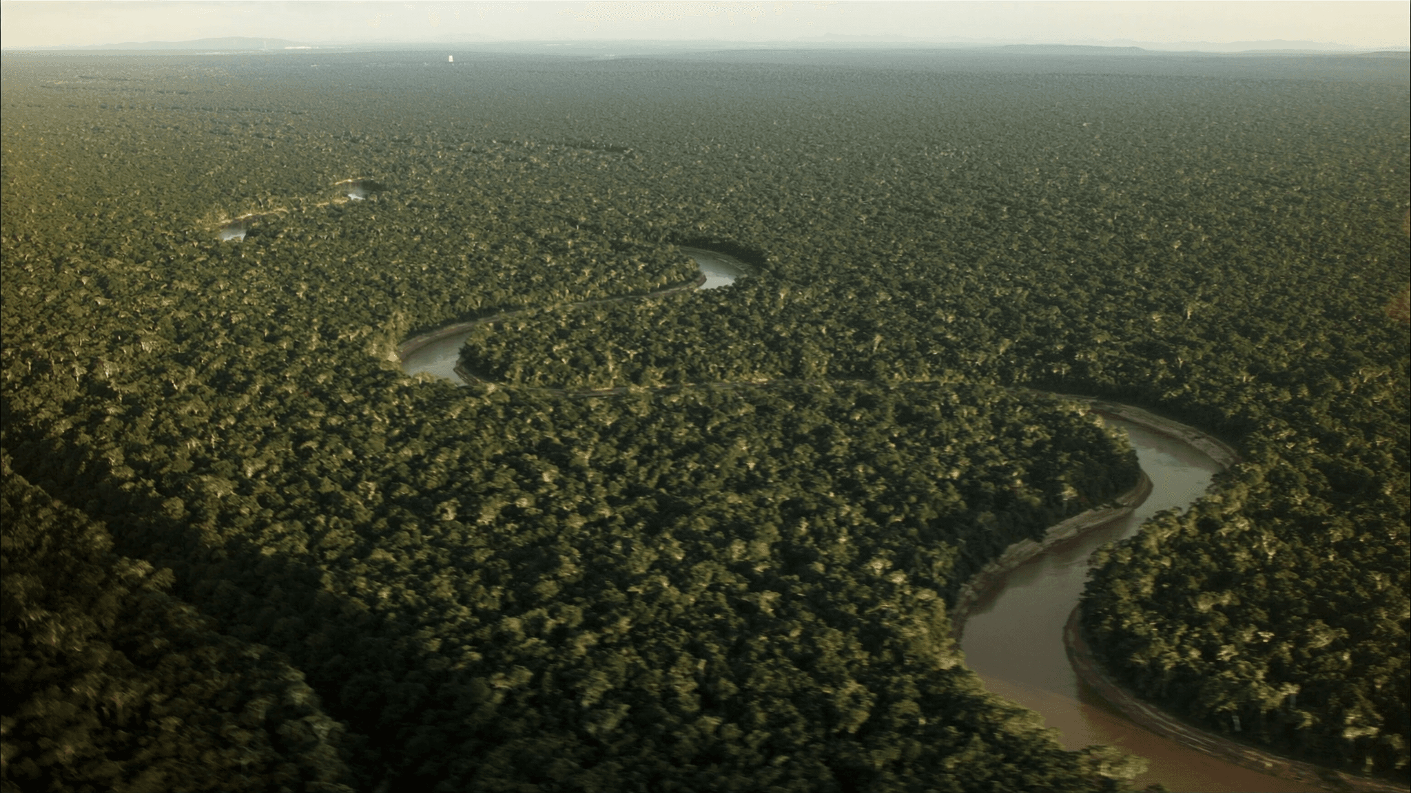 Aerial view of a river winding through dense, unbroken Amazon rainforest