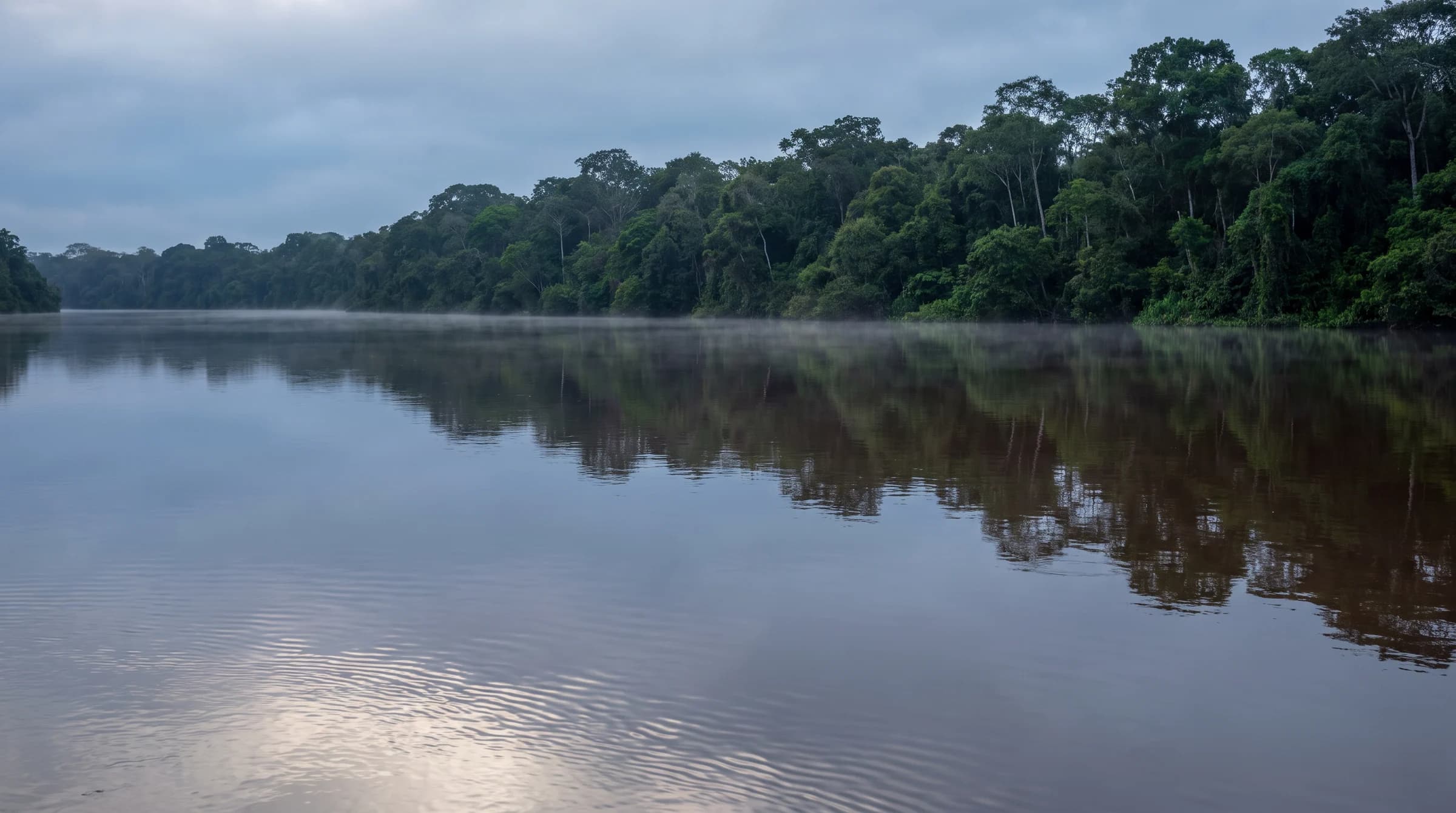 A calm Amazonian river at dawn, mist over mirror-smooth water reflecting dense rainforest